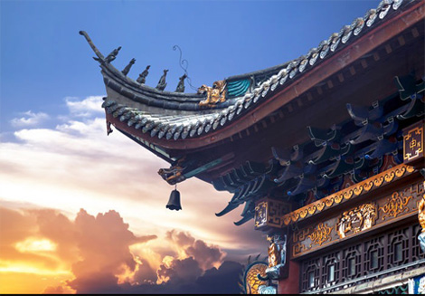 公司介绍